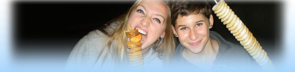 Twister Tornado Friet